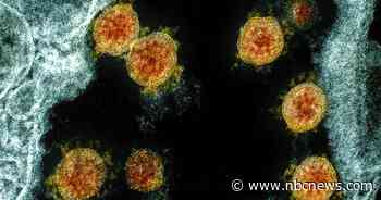 Cancer, coronavirus are a dangerous mix, new studies find - NBC News