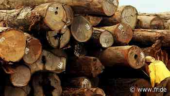 Corona-Krise: Abholzung der Regenwälder in Brasilien durch den „Umweltzerstörungsminister“ | Wirtschaft - fr.de