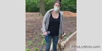 Officials call for police probe of white woman's 911 call on black man in Central Park