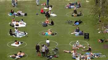 Toronto to paint physical distancing circles at Trinity Bellwoods Park - CP24 Toronto's Breaking News