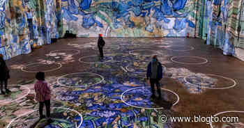 Vincent van Gogh exhibit in Toronto plans to add social distancing circles - blogTO