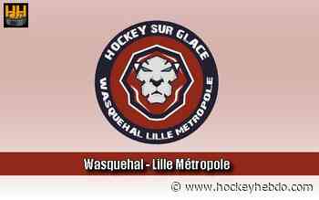 Hockey sur glace : D2 : Wasquehal signe ses gardiens - Transferts 2020/2021 : Wasquehal Lille (Les Lions) - hockeyhebdo Toute l'actualité du hockey sur glace
