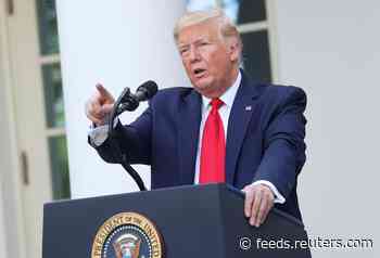 Explainer: What's in the law protecting internet companies - and can Trump change it?