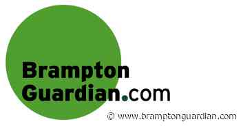 Brampton senior is on a mission to clean up Etobicoke Creek - Brampton Guardian