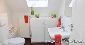 How to use the toilet at a friend's house under new lockdown rules