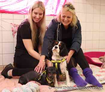 Harefield rehoming centre salutes its heroes in Volunteers Week