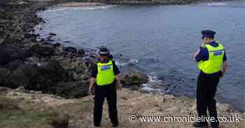More than 30 teens risk their lives by jumping from high cliffs in South Shields