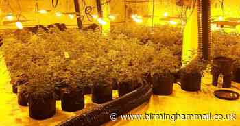 Police 'horrified to find two males locked inside huge cannabis farm'