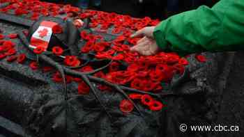 Canada's Tomb of the Unknown Soldier marks its 20th anniversary