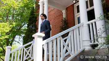 Why the PM's daily briefings have worked — and why we might see fewer of them soon