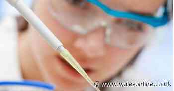 Fourteen more people have died after contracting coronavirus in Wales - Wales Online