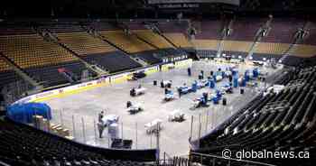 Rick Zamperin: Ranking the NHL’s 10 potential playoff hub cities