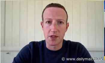 Mark Zuckerberg says Facebook's new e-commerce feature benefiting from shutdowns - Daily Mail