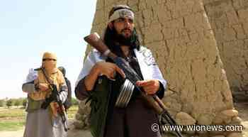 Afghanistan: Seven security personnel killed, govt blames Taliban - WION