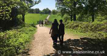 12 big changes to expect at National Trust sites when they reopen
