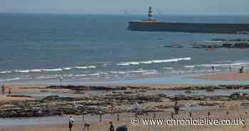 Will the weather stay warm over the weekend? Here's the forecast