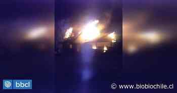 Incendio consume cabaña deshabitada en localidad de Ralún en Puerto Varas - BioBioChile