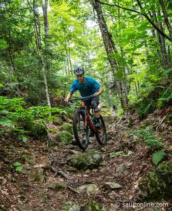 City releases survey for mountain bike trail development