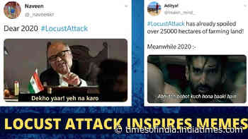 Bollywood inspired memes go viral as locust reaches Mumbai