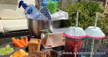 11 genius picnic hacks that will transform eating outdoors