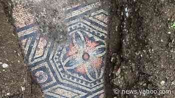 Ancient Roman mosaic floor unearthed in Italian vineyard