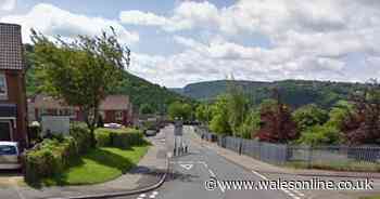 Attempted murder investigation launched after man stabbed in chest
