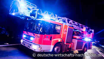 50 Angreifer: Feuerwehr und Polizei werden in Hinterhalt gelockt und mit Steinen attackiert