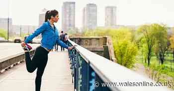 10 free home fitness workouts for those missing their gym routine