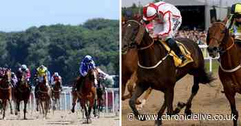 Jockey thrilled to get back in the saddle as horse racing returns to Newcastle