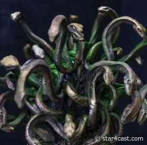 Trump – the Medusa effect spitting venom