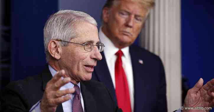 Steve Cuno: What any fool knows isn’t alway true