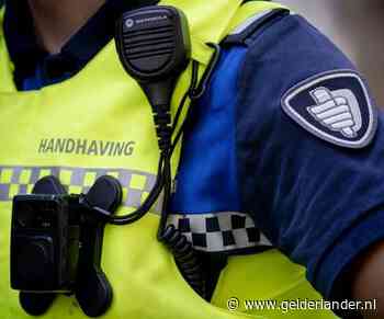 Man aangehouden na mishandeling van twee boa’s in Arnhem