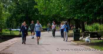 What the experts say about lockdown easing measures in Wales