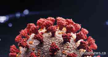 2 new coronavirus cases in Saskatchewan, 2 more recoveries