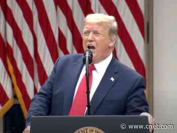 Trump terminates US relationship with the WHO     - CNET