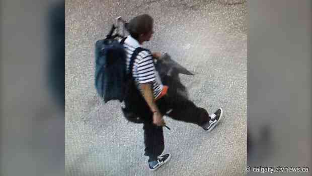 Police in Lethbridge seek suspect in connection with suspicious fires