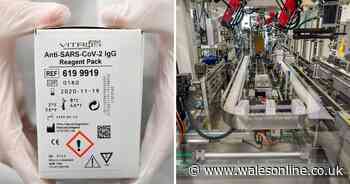 Inside the Welsh lab providing millions of antibody tests throughout the UK