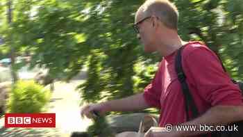 Teacher who saw Cummings in woods 'feels vindicated'