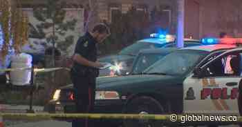 Lethbridge police review finds increase in reported use of force, calls for service - Globalnews.ca