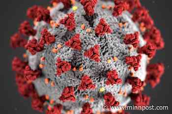 The daily coronavirus update: 29 more deaths, raising the total to 996 in Minnesota - MinnPost