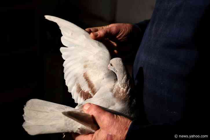 Move over James Bond; India returns alleged bird spy to Pakistan