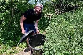 Tom 'Winnockios Garden' Winnock begeleidt andere tuinierders - Milieu & natuur - Krant van Westvlaanderen