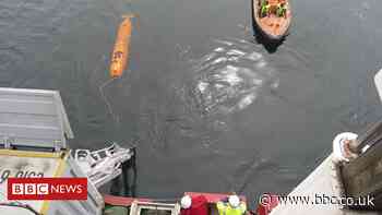 Climate change: 'Stunning' seafloor ridges record Antarctic retreat