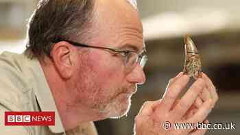 Australia's megafauna roamed the tropics with first humans but then disappeared