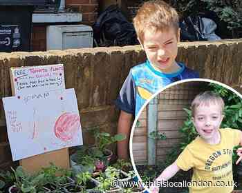 Six-year-old twins offer tomato plants to neighbours