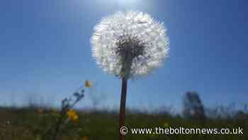 Flower power from members of the Bolton News Camera Club