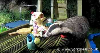 ROBERT FULLER: My playground for wild animals...