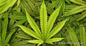 More Turn to Medical Marijuana for Arthritis Pain - WebMD