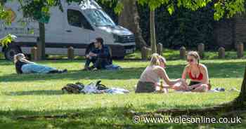 The new lockdown rules on picnics and barbecues in Wales