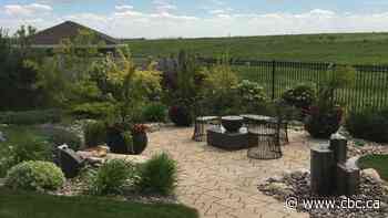 4 trendy landscaping tips to improve your backyard